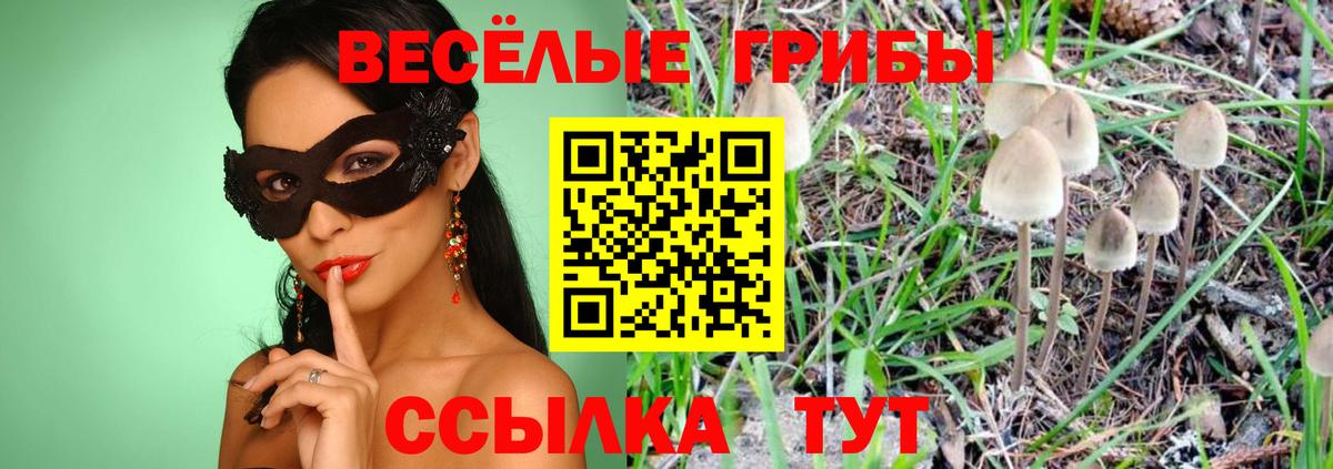 Псилоцибиновые грибы ЛСД Выборг
